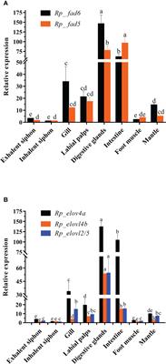 Biosynthesis of LC-PUFA in Ruditapes philippinarum: Cloning and tissue distribution of Fad and Elovl, and effects of microalgae diets varied in LC-PUFA composition on their expressions and fatty acids profile of this bivalve